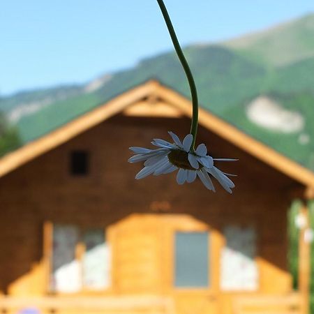 Mountain Cabins Местия Екстериор снимка